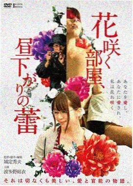 我的野蛮女友 电影海报